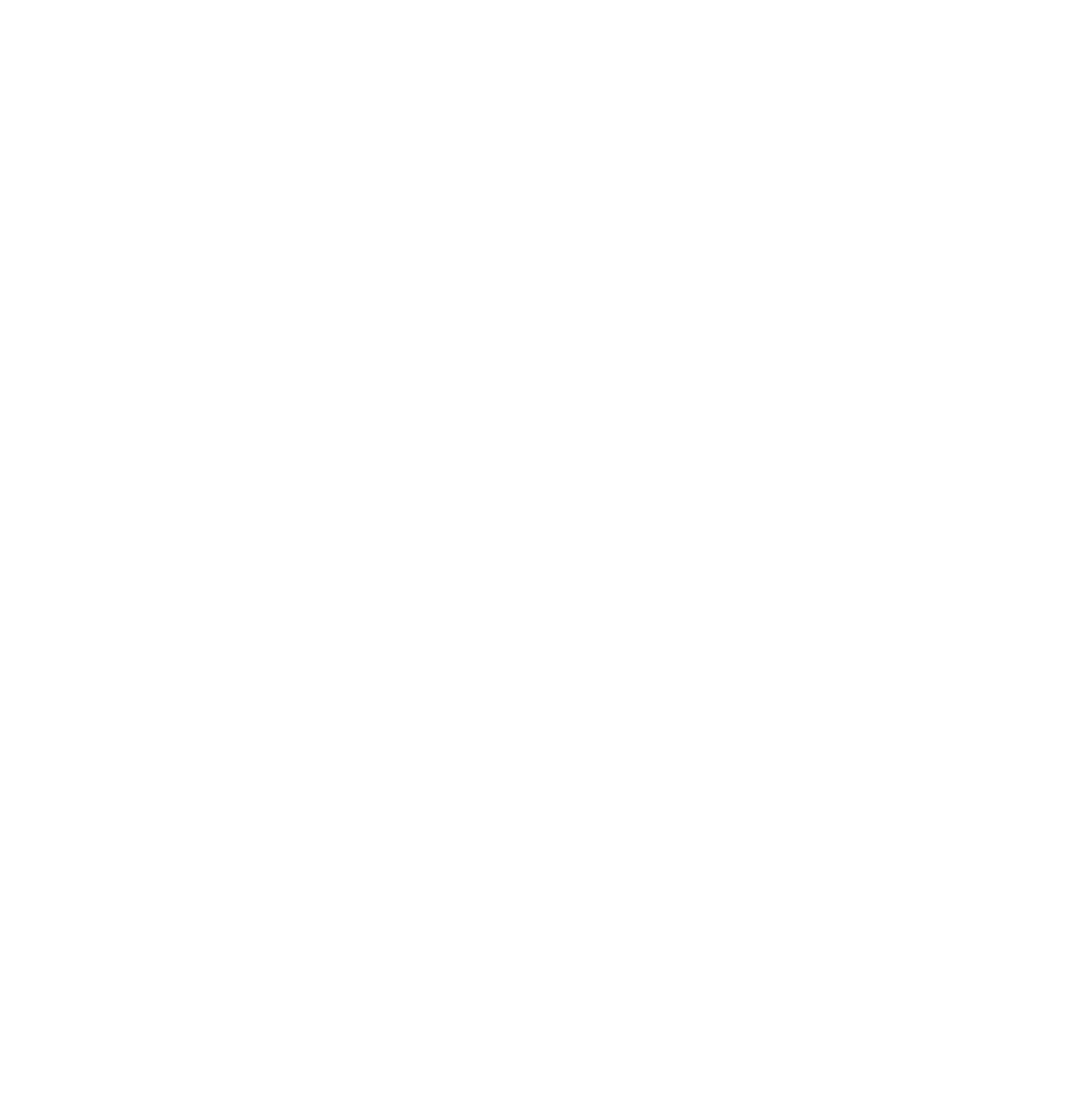 11-Series-Energy_Logo_white